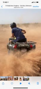 quad dans la palmeraie