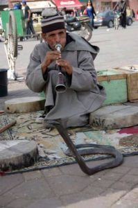 Excursion à Marrakech 20