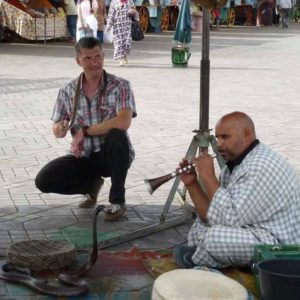 Excursion à Marrakech 21