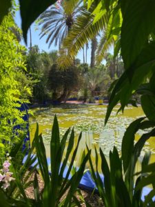 Excursion à Marrakech