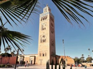 Excursion à Marrakech 6